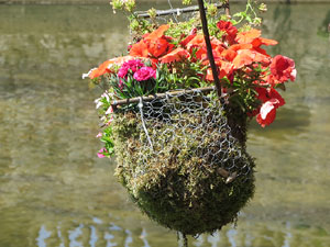 Temps de Flors 2017. Instal&middot;laci&oacute; 'Rosetons' al Pont de Sant Feliu