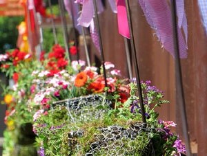 Temps de Flors 2017. Instal&middot;laci&oacute; 'Rosetons' al Pont de Sant Feliu