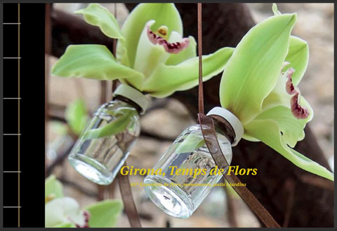 Portada de l'edici&oacute; 2017 del llibre