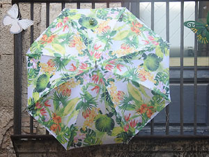 Temps de Flors 2017. Instal&middot;lacions i muntatges als espais de la Rambla de la Llibertat