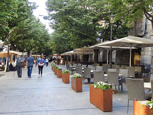 Temps de Flors 2017. Instal&middot;lacions i muntatges als espais de la Rambla de la Llibertat