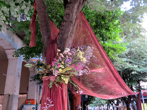 Temps de Flors 2017. Instal&middot;lacions i muntatges als espais de la Rambla de la Llibertat