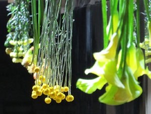 Temps de Flors 2017. Instal&middot;lacions i muntatges florals al refugi antiaeri del jard&iacute; de la Inf&agrave;ncia