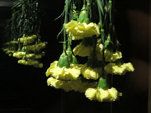 Temps de Flors 2017. Instal&middot;lacions i muntatges florals al refugi antiaeri del jard&iacute; de la Inf&agrave;ncia