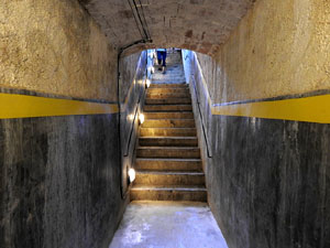 Temps de Flors 2017. Instal&middot;lacions i muntatges florals al refugi antiaeri del jard&iacute; de la Inf&agrave;ncia