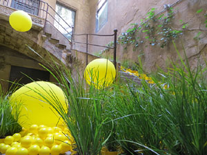Temps de Flors 2017. Instal&middot;laci&oacute; 'Playground. Camp de colza en moviment' a la Casa Sambola - Pla Dalmau, al carrer de la For&ccedil;a