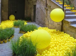 Temps de Flors 2017. Instal&middot;laci&oacute; 'Playground. Camp de colza en moviment' a la Casa Sambola - Pla Dalmau, al carrer de la For&ccedil;a