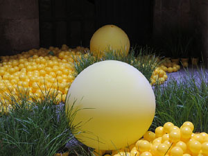 Temps de Flors 2017. Instal&middot;laci&oacute; 'Playground. Camp de colza en moviment' a la Casa Sambola - Pla Dalmau, al carrer de la For&ccedil;a