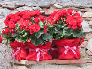 Temps de Flors 2017. Instal&middot;lacions i muntatges florals a la Capella de Sant Crist&ograve;fol, al Passeig Arqueol&ograve;gic
