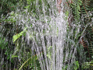 Temps de Flors 2017. Instal&middot;lacions i muntatges florals a la Capella de Sant Crist&ograve;fol, al Passeig Arqueol&ograve;gic