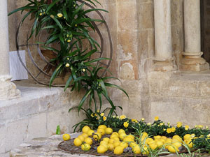 Temps de Flors 2017. Instal&middot;lacions i decoracions florals al claustre rom&agrave;nic del monestir de Sant Daniel