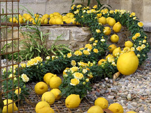 Temps de Flors 2017. Instal&middot;lacions i decoracions florals al claustre rom&agrave;nic del monestir de Sant Daniel