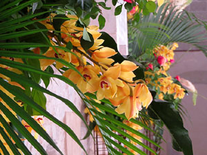 Temps de Flors 2017. Instal&middot;lacions i decoracions florals al claustre rom&agrave;nic del monestir de Sant Daniel