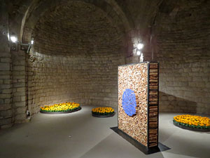 Temps de Flors 2017. Instal&middot;laci&oacute; Epig&egrave;nesi a la nau rom&agrave;nica de Sant Nicolau