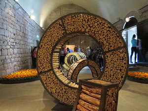 Temps de Flors 2017. Instal&middot;laci&oacute; Epig&egrave;nesi a la nau rom&agrave;nica de Sant Nicolau