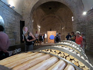 Temps de Flors 2017. Instal&middot;laci&oacute; Epig&egrave;nesi a la nau rom&agrave;nica de Sant Nicolau