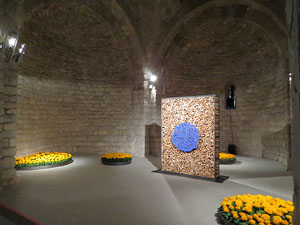 Temps de Flors 2017. Instal&middot;laci&oacute; Epig&egrave;nesi a la nau rom&agrave;nica de Sant Nicolau