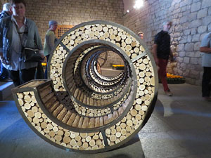 Temps de Flors 2017. Instal&middot;laci&oacute; Epig&egrave;nesi a la nau rom&agrave;nica de Sant Nicolau