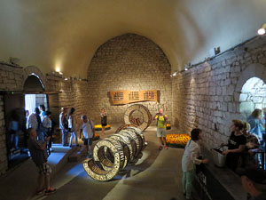 Temps de Flors 2017. Instal&middot;laci&oacute; Epig&egrave;nesi a la nau rom&agrave;nica de Sant Nicolau