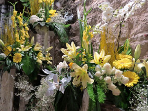 Temps de Flors 2017. Decoracions florals als baixos de l'edifici de les Sarraïnes