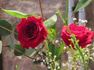 Temps de Flors 2017. Decoracions orientals al primer pis de l'edifici de les Sarra&iuml;nes