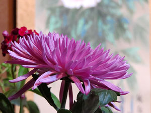 Temps de Flors 2017. Decoracions orientals al primer pis de l'edifici de les Sarra&iuml;nes