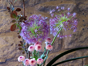 Temps de Flors 2017. Decoracions orientals al primer pis de l'edifici de les Sarra&iuml;nes