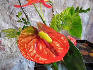 Temps de Flors 2017. Decoracions orientals al primer pis de l'edifici de les Sarra&iuml;nes