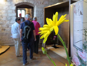 Temps de Flors 2017. Decoracions orientals al primer pis de l'edifici de les Sarra&iuml;nes