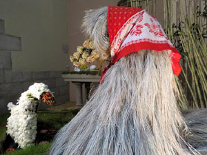 Temps de Flors 2017. Instal&middot;lacions i muntatges florals a l'Esgl&eacute;sia de Sant Mart&iacute; - Seminari