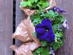 Temps de Flors 2017. Instal&middot;laci&oacute; 'L'&agrave;nima de les flors' a la travessia Auriga - pla&ccedil;a Bell-lloc