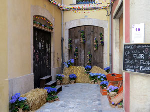 Temps de Flors 2017. Instal&middot;laci&oacute; 'L'&agrave;nima de les flors' a la travessia Auriga - pla&ccedil;a Bell-lloc