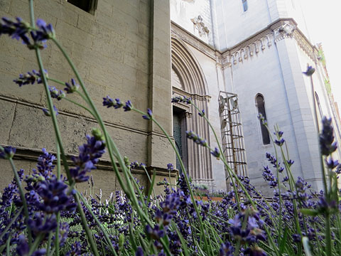 Fa&ccedil;ana del Sagrat Cor de Girona durant Temps de Flors 2017