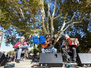 Fires 2017. 36a. Trobada de Gegants de Fires de Sant Narc&iacute;s