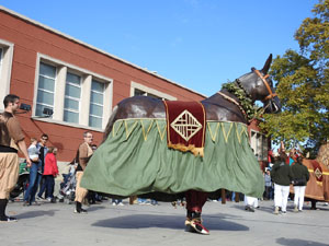 Fires 2017. 36a. Trobada de Gegants de Fires de Sant Narc&iacute;s