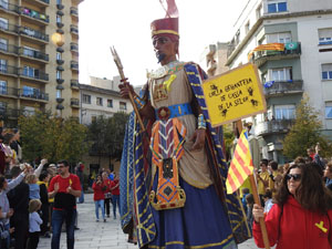 Fires 2017. 36a. Trobada de Gegants de Fires de Sant Narc&iacute;s