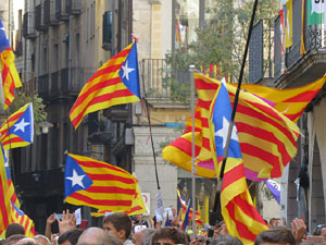 Marat&oacute; per la democr&agrave;cia. Concentraci&oacute; i parlaments a la pla&ccedil;a del Vi