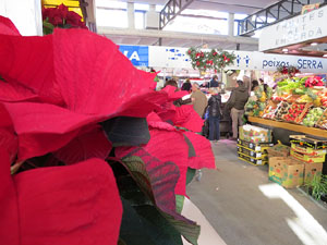 Nadal 2017. Imatges de les festes de Nadal