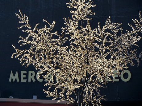 Nadal 2016 a Girona. La decoraci&oacute; nadalenca dels carrers