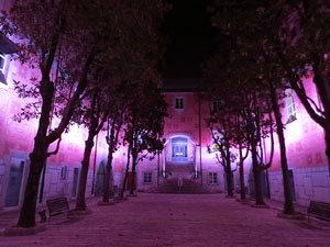 Nadal 2017. La decoraci&oacute; nadalenca dels carrers