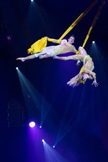 7a edició del Festival Internacional de Circ Elefant d'Or 2018 a la Devesa de Girona
