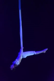 7a edició del Festival Internacional de Circ Elefant d'Or 2018 a la Devesa de Girona