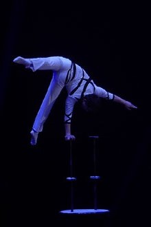 7a edició del Festival Internacional de Circ Elefant d'Or 2018 a la Devesa de Girona