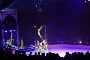 7a edició del Festival Internacional de Circ Elefant d'Or 2018 a la Devesa de Girona