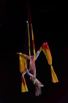 7a edició del Festival Internacional de Circ Elefant d'Or 2018 a la Devesa de Girona