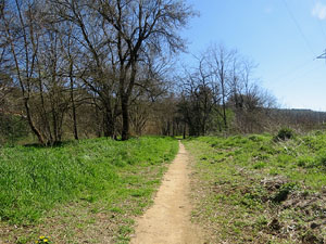 L'itinerari de l'Onyar