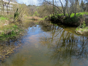 L'itinerari de l'Onyar