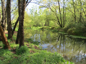 L'itinerari del Ter. Ruta seguint el curs del riu Ter des del pont de la Barca fins el Pont Major