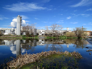 L'itinerari del Ter. Ruta seguint el curs del riu Ter del Pont Major al pont de l'Aigua