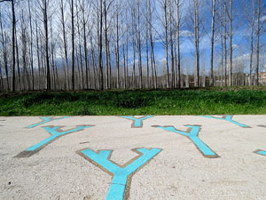 L'itinerari del Ter. Ruta seguint el curs del riu Ter del Pont Major al pont de l'Aigua